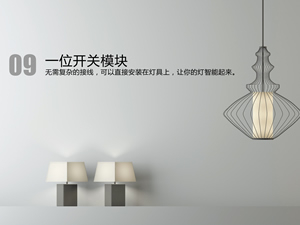 一位开关模块